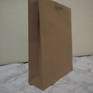 Paper Bag Craft